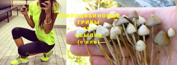 бутират Баксан