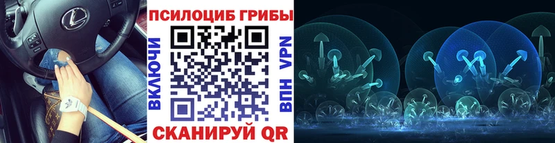 Галлюциногенные грибы мицелий  Буинск 